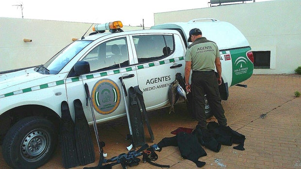 Material intervenido por los agentes de Medio Ambiente