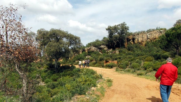 Vista de los Montes Propios de Jerez