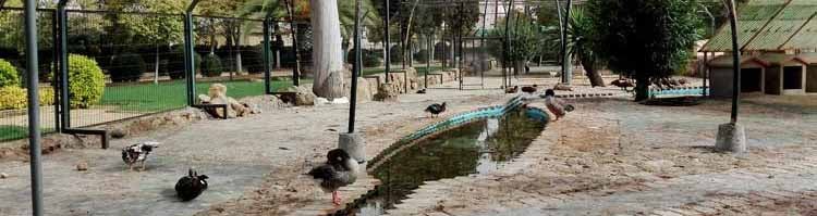 El zoológico del parque de Consolación