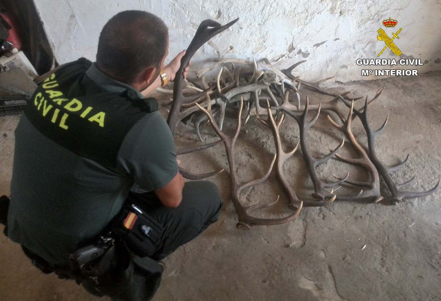 Un agente con algunas de las piezas recuperadas