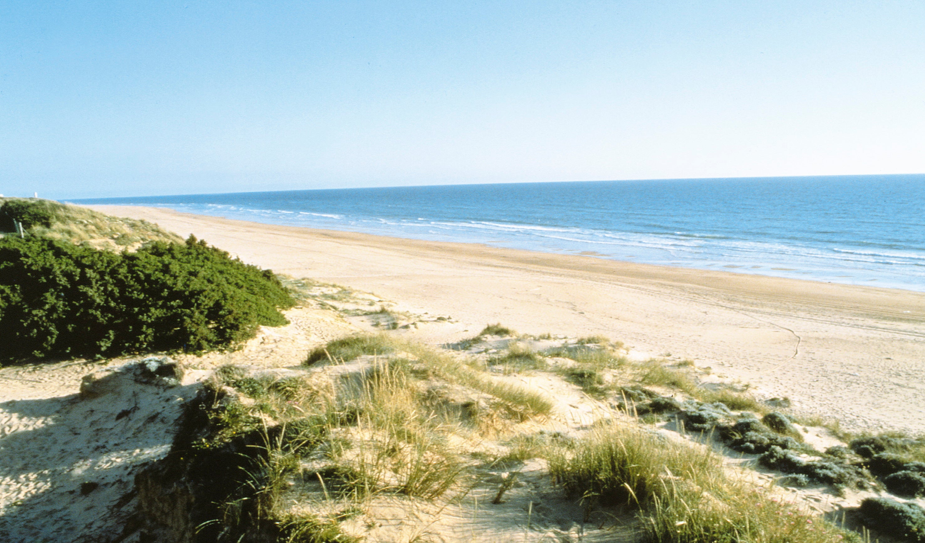 Vista de la playa de Isla Canela, en Ayamonte