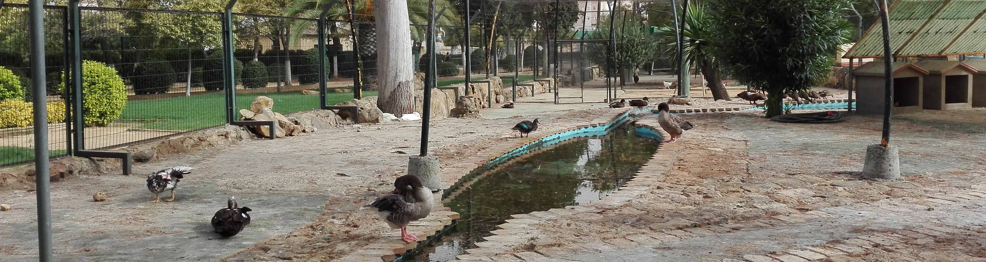 La zona de los animales del parque de Consolación