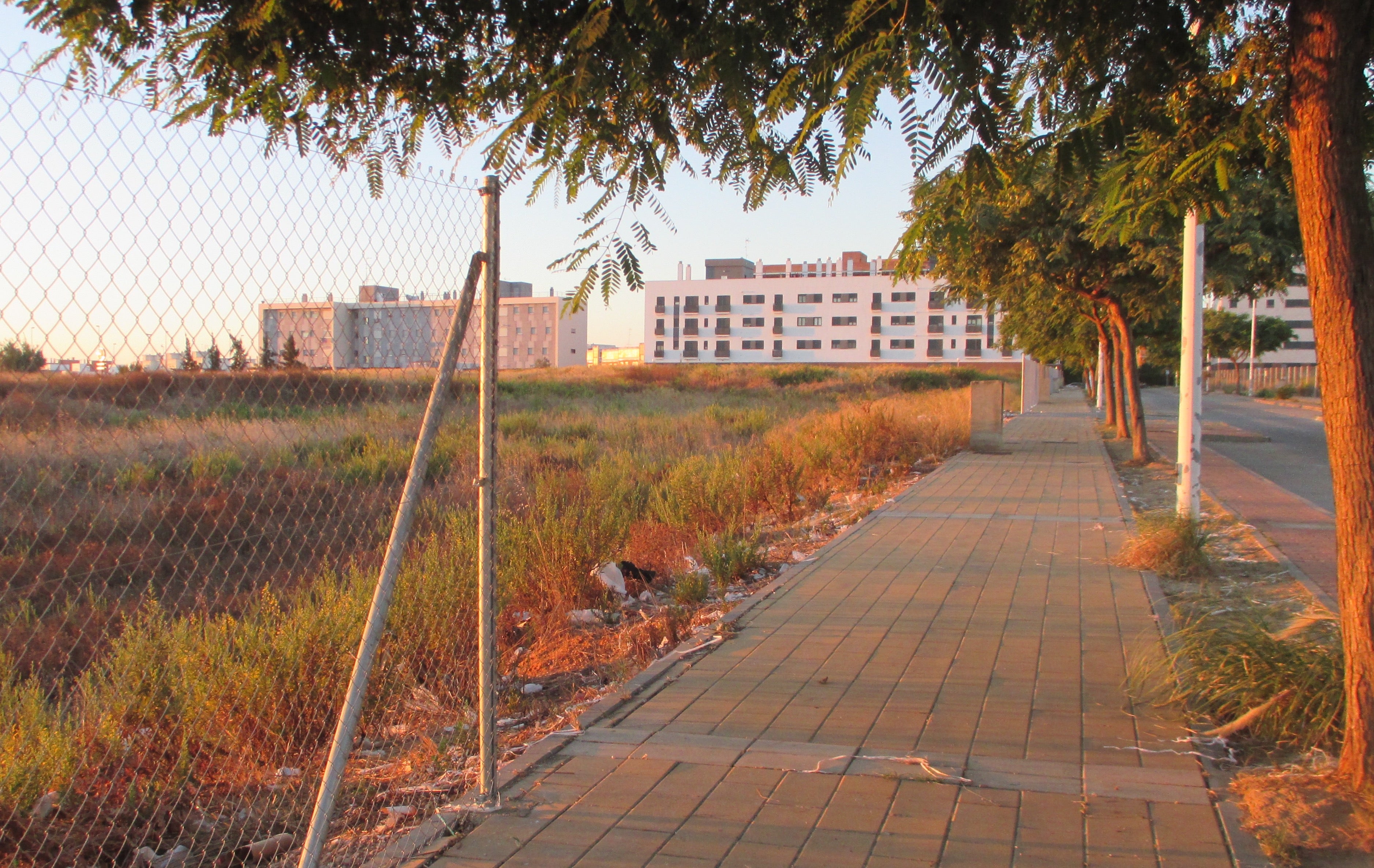 Roban el vallado de las parcelas arqueológicas del Seminario, en Huelva