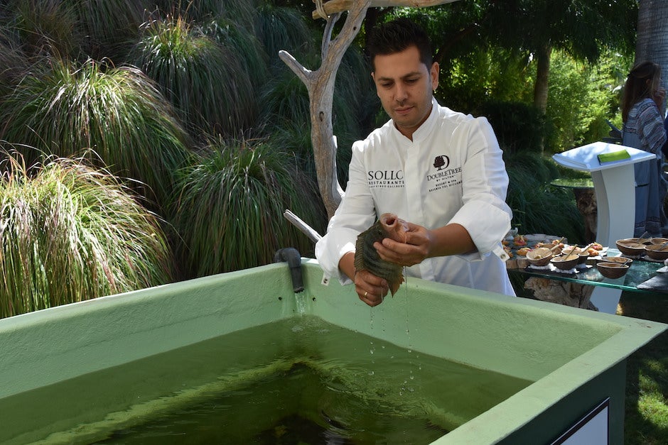 Diego Gallegos con una de las tilapias que ya cultiva en su piscifactoría / J.J.M.