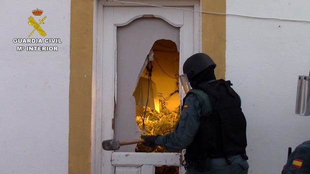 Marihuana al son de la música clásica