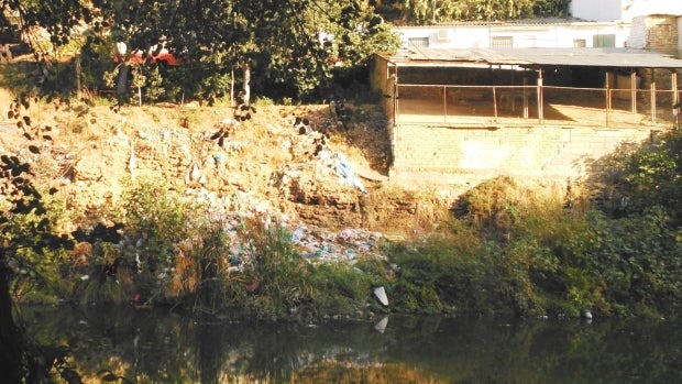 La basura se acumula en la ladera del río y va cayendo al aguaa