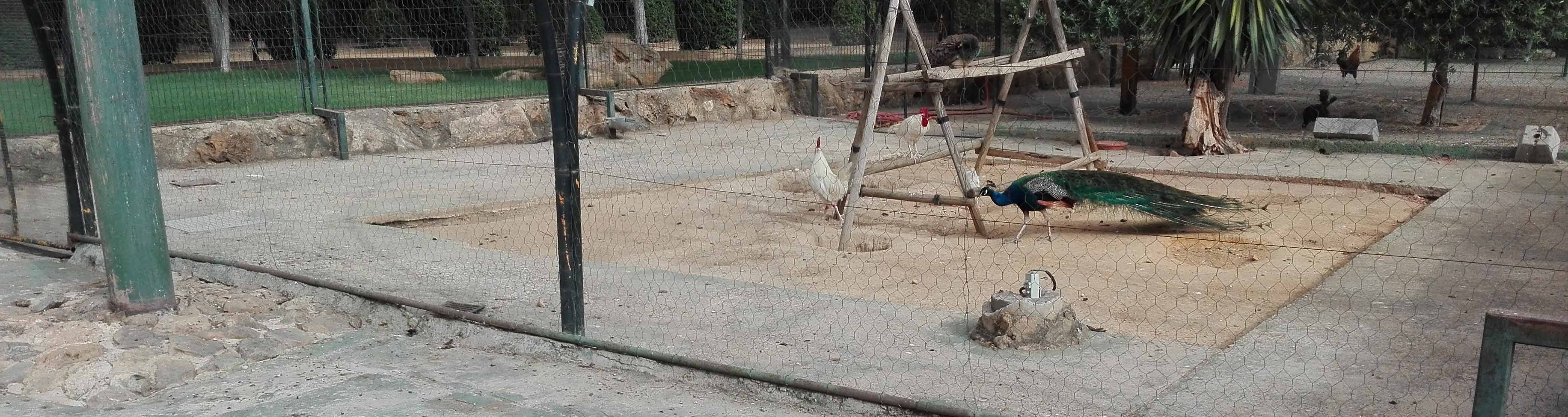 Los animales del parque de Consolación de Utrera/ A.F.