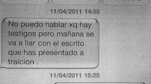 Mensaje de la exconcejal Isabel Nieto al director, que se negó a rectificar un informe «ilegal»