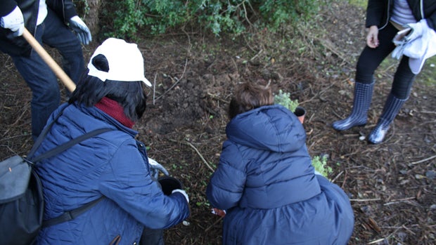 Voluntarios en la plantación de árboles