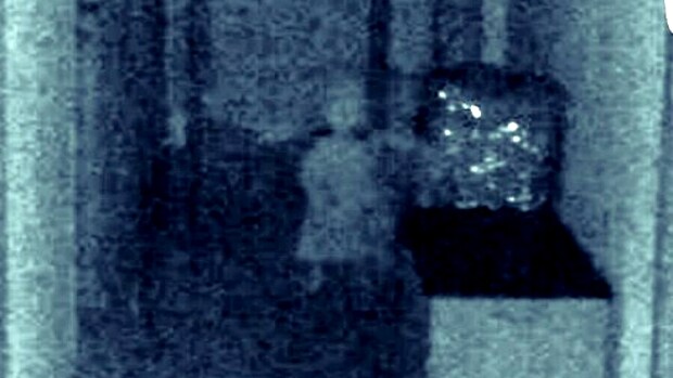 Imagen captada por el concejal en la que se puede ver una silueta fantasmagórica.