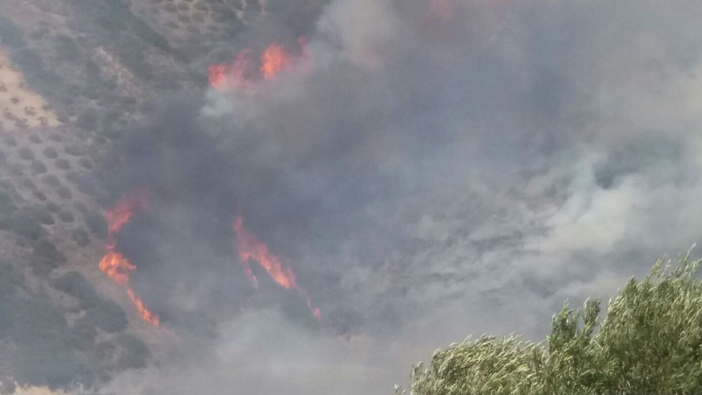 El incendio se ha producido en un paraje situado a 5 kilómetros de Villanueva del Arzobispo.