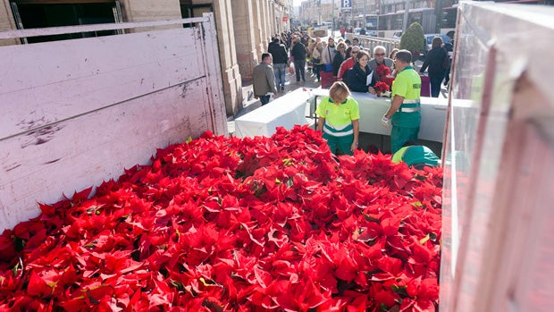 Pascueros gratis para evitar saqueos