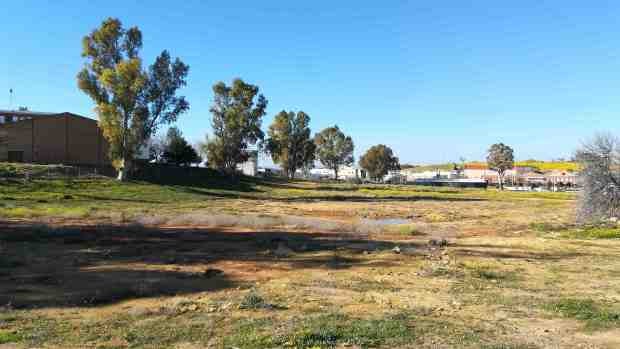 Los escolares de Carmona diseñarán su propia «Ciudad de los Niños»