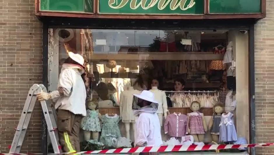 Enjambre de abejas en el centro de Sevilla