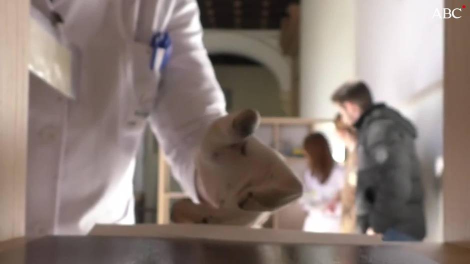 Un mural formado por 17400 teselas recrea La Colosal de Murillo en la fachada de El Corte Inglés del Duque de Sevilla