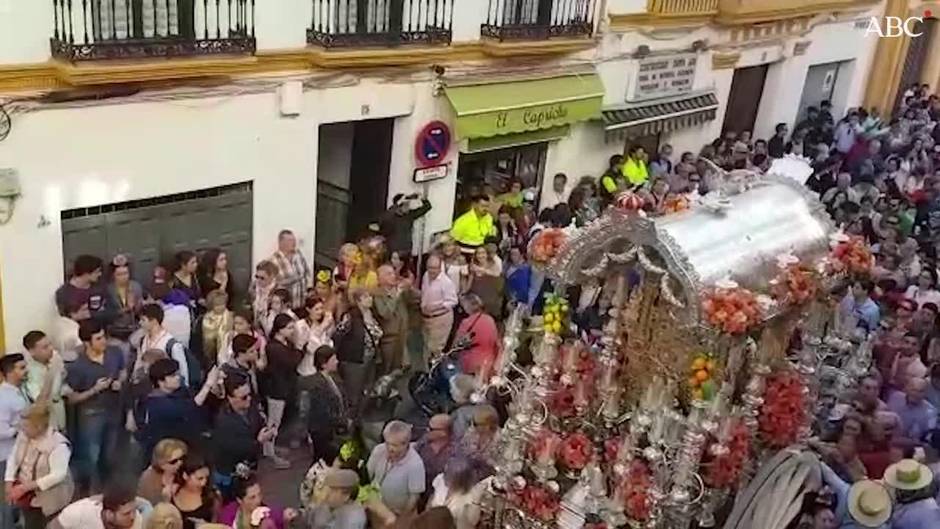 La Hermandad del Rocío de Triana a su paso por la calle Pureza