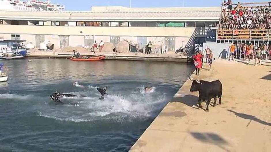 Denia celebra estos días sus polémicos Bous a la Mar