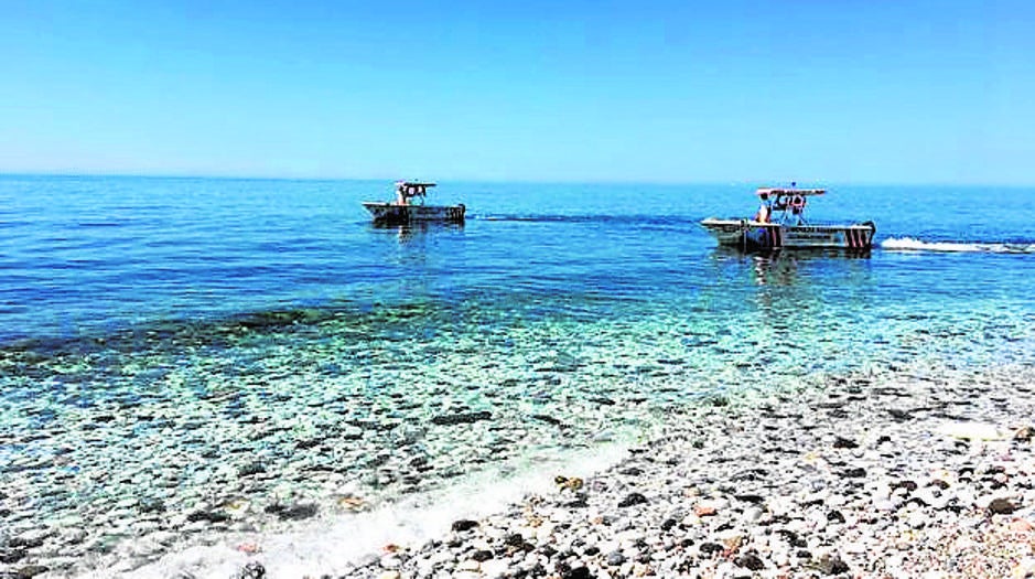 La Costa del Sol invadida por las medusas