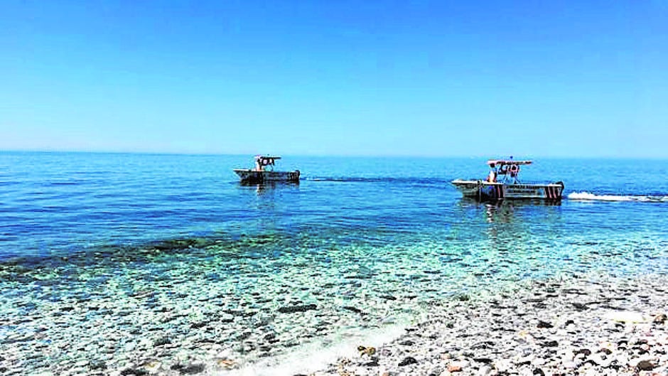 La Costa del Sol, invadida por las medusas