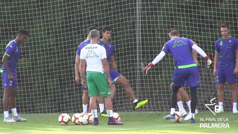 Sanabria, uno más en el trabajo del Betis, mientras la Premier aprieta por él