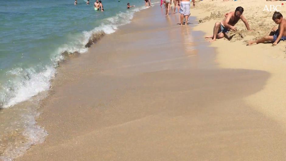 El viaje «oficial» de Gerardo Pisarello