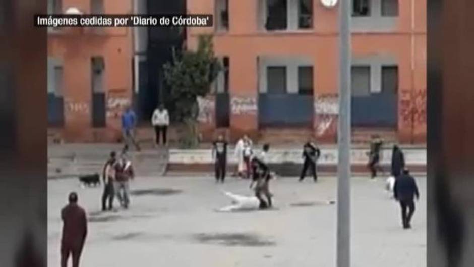 Un joven fallece en una pelea con armas blancas en Córdoba