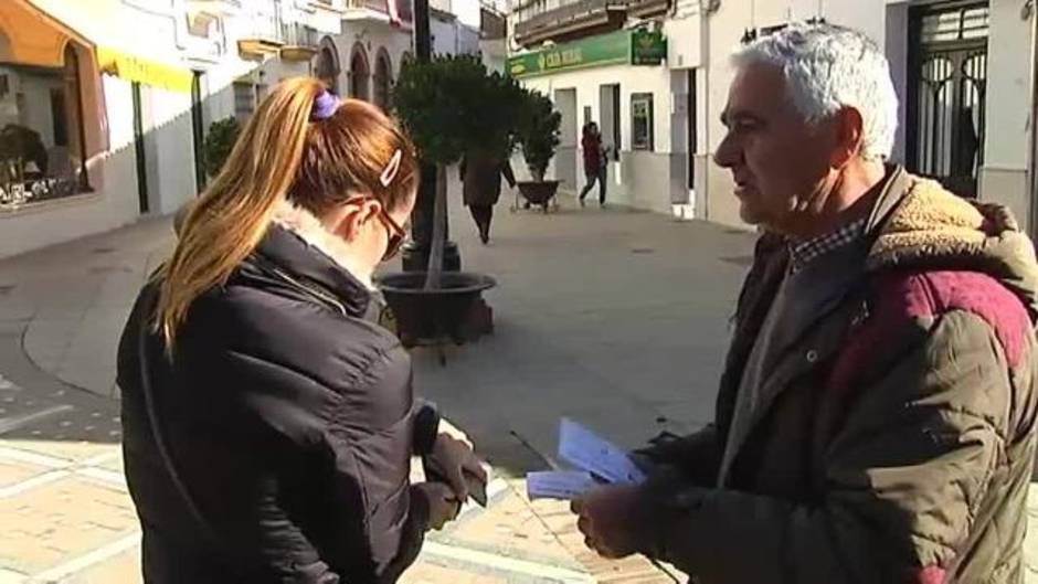 Los cerdos ibéricos Francisco, Rafael y Clemente toman las calles de Trigueros, en Huelva