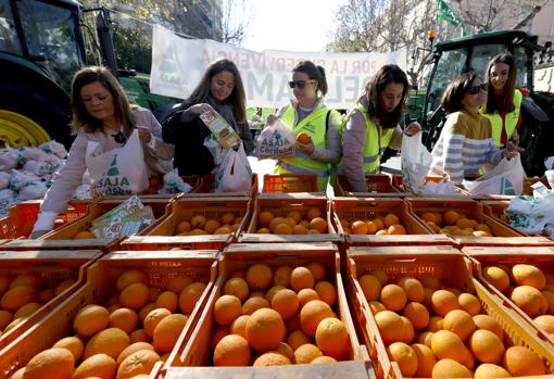 Un momento de la entrega de naranjas en el Bulevar