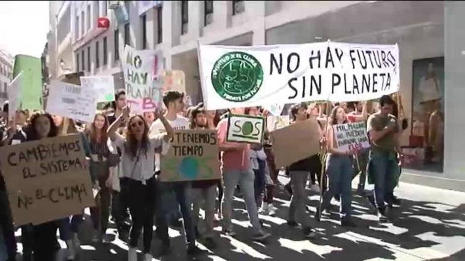 Miles de jóvenes luchan contra el cambio climático