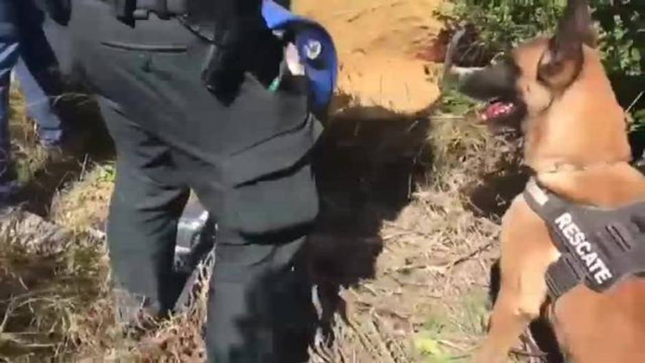 Las alucinaciones psicóticas de la presunta parricida de Godella: "Se creía Eva y María Magdalena"