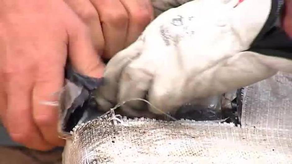 El pesquero vasco abordado con 2.500 kilos de cocaína llega a Vigo