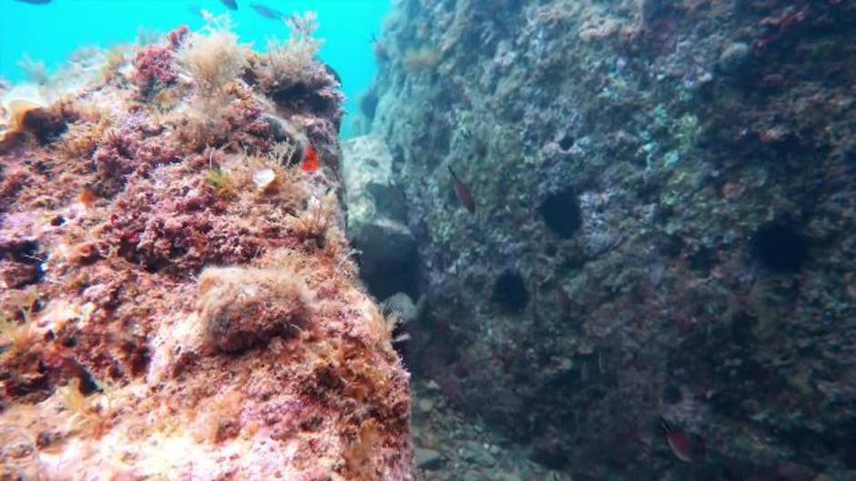 Comienza la campaña ‘Protección más allá de la piel’ para proteger la piel y los fondos marinos