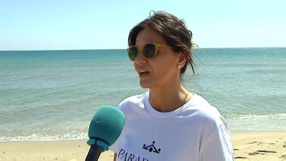 Voluntarios regeneran las dunas de El Saler y limpian la playa de plásticos