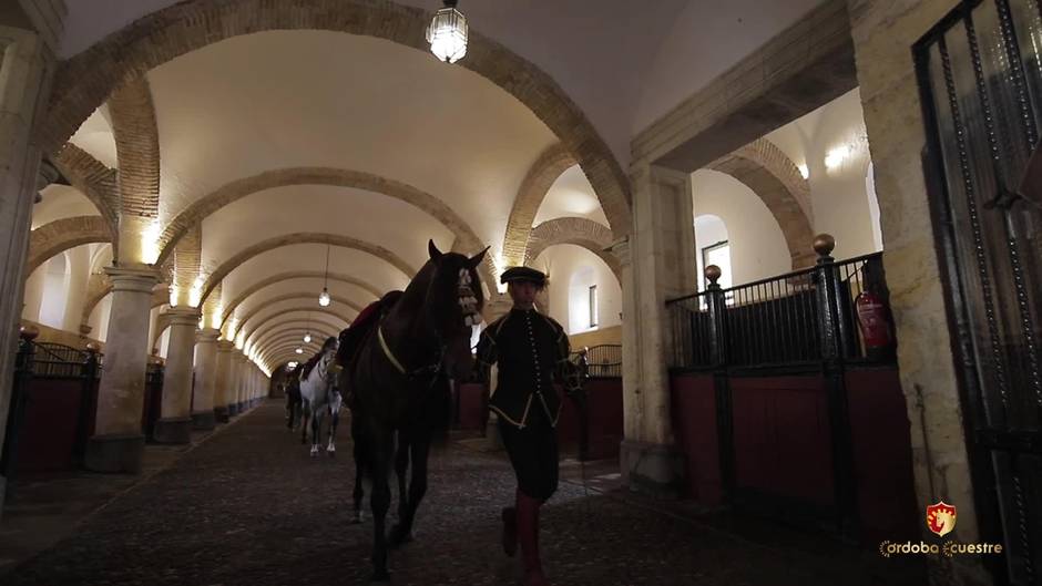 Proyecto de Córdoba Ecuestre para Caballerizas