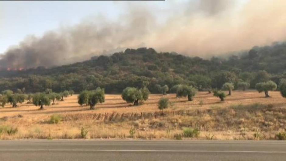 Declarado un incendio de pastos en Montesión (Toledo)