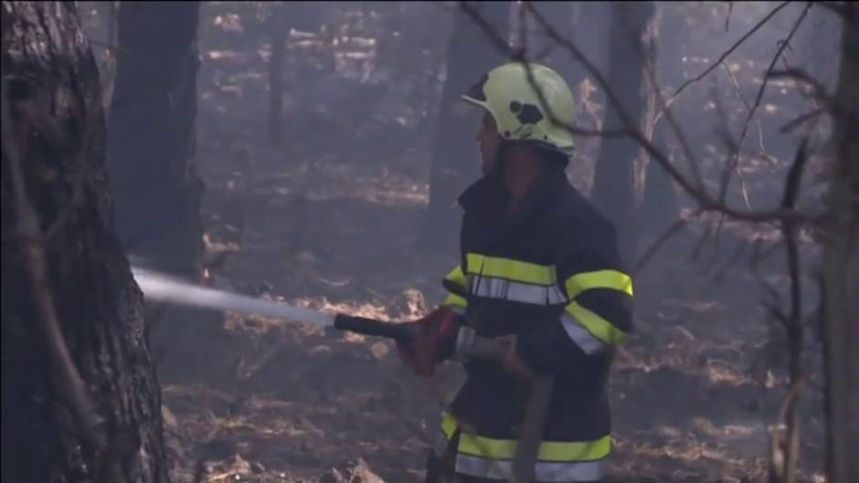 Bomberos logran sofocar el incendio forestal de Croacia