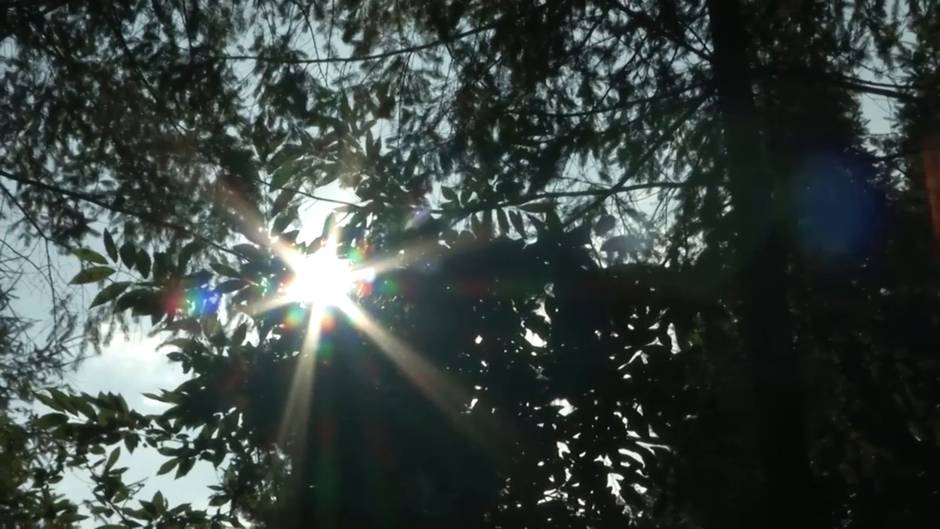 Font Vella firma un convenio para proteger la naturaleza y biodiversidad en Sant Hilari Sacalm