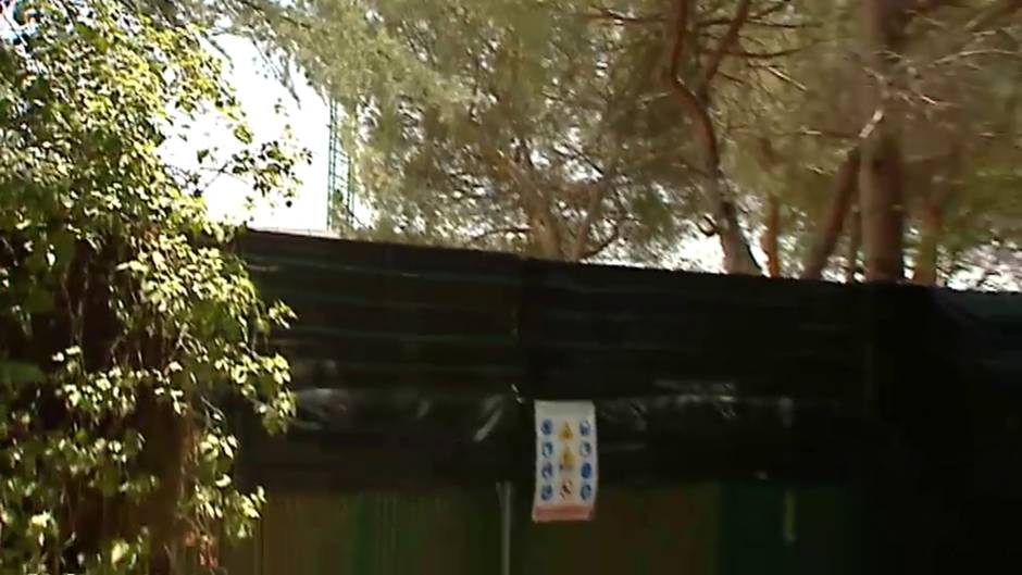 El Ayuntamiento de Alcobendas multa a Sergio Ramos por la tala de encinas centenarias