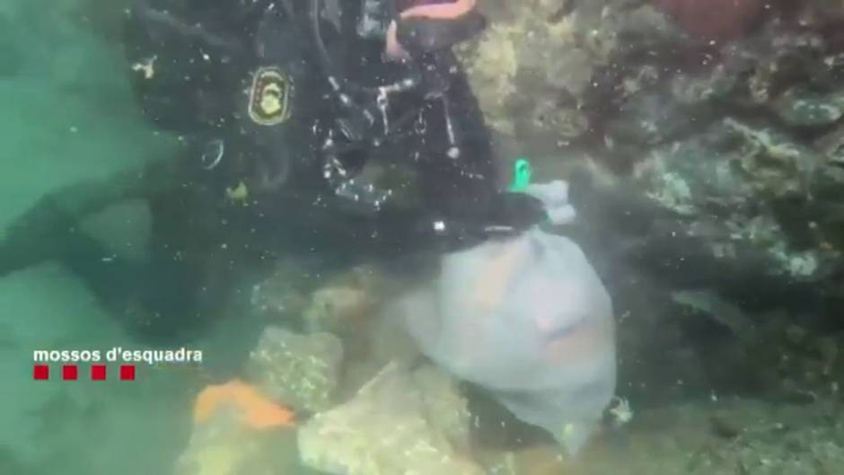 Pillados pescadores furtivos con casi dos kilos de coral rojo