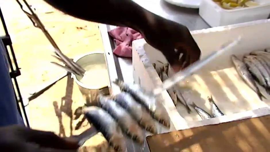 Peligro de extinción para los espetos en algunas playas de Granada