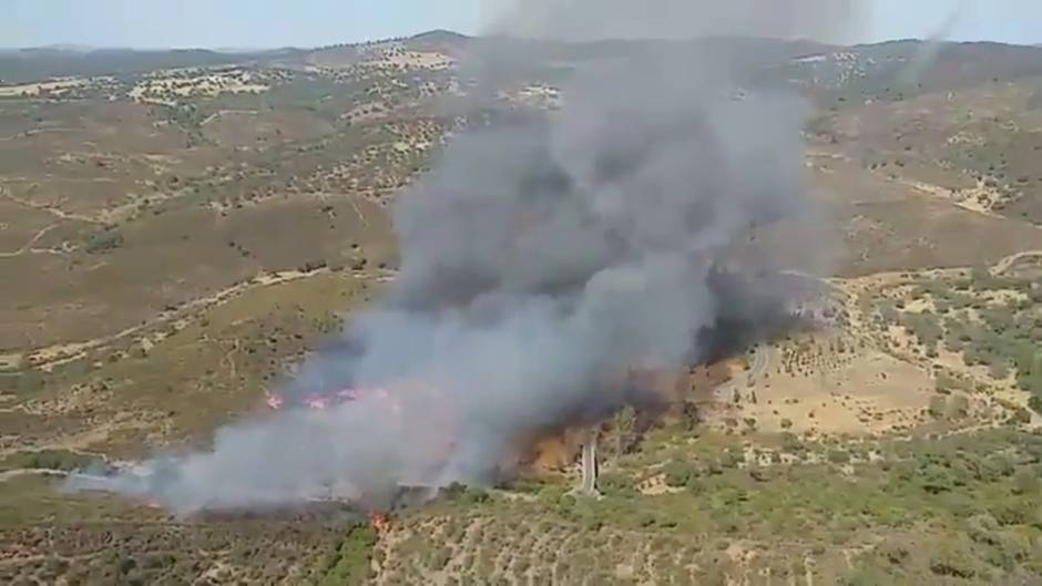 Incendio en El Madroño