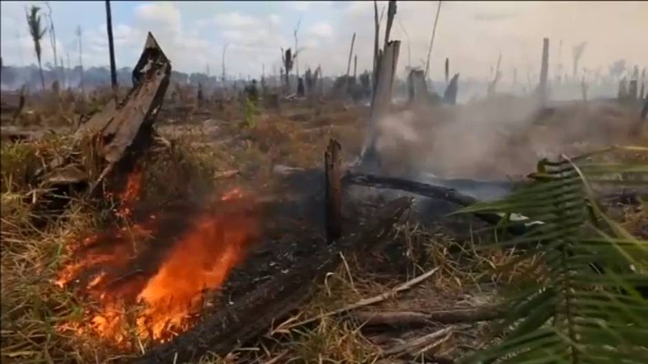 La naturaleza salvaje se enfrenta a un peligroso declive sin precedentes