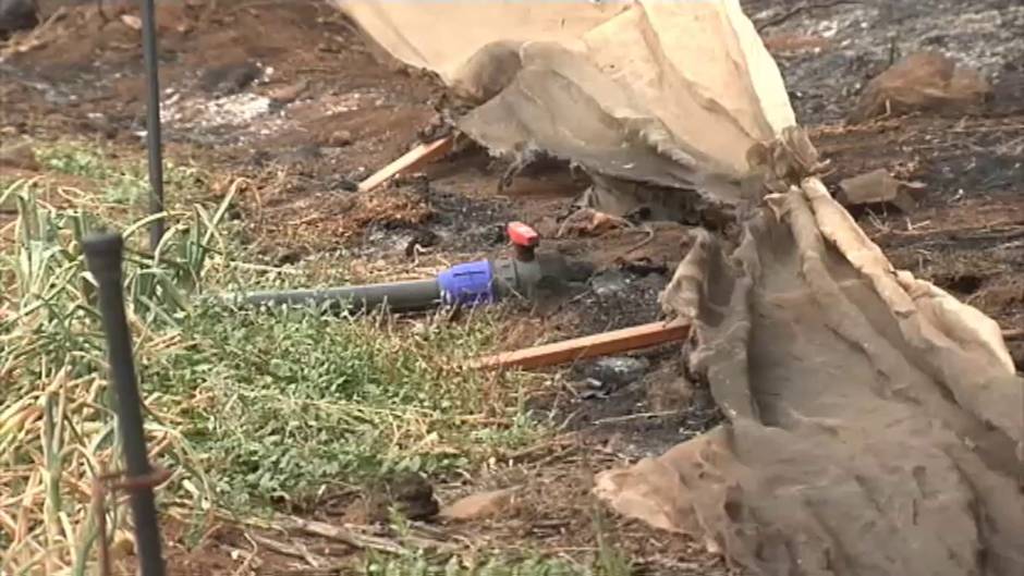 Las historias tras el fuego de Gran Canaria: sin vivienda ni medio de vida