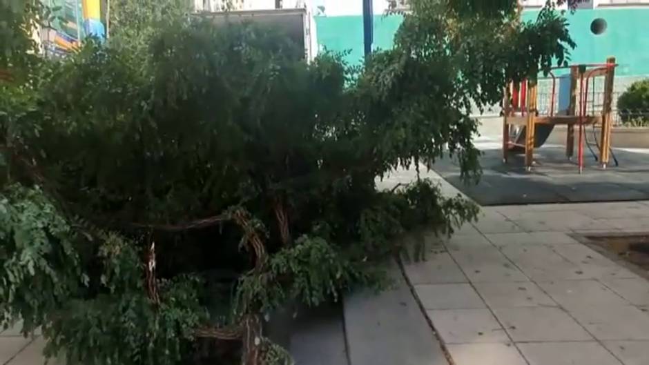 Tormentas generalizadas en todo el país