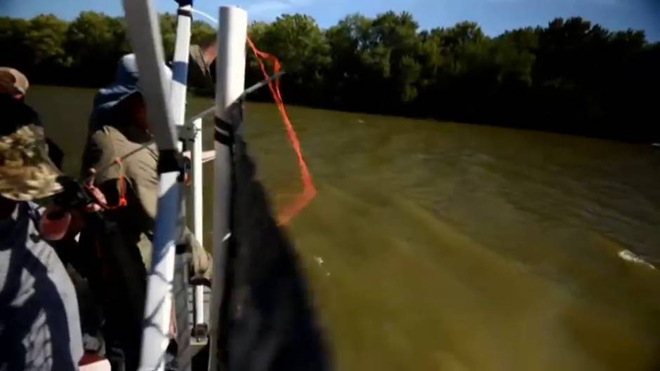 La pesca de la carpa asiática se convierte en un deporte en el río Illinois