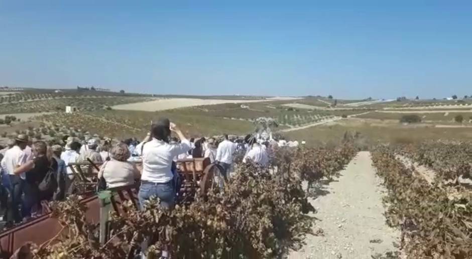 Romería por el 575 aniversario de la aparición de la imagen de la Virgen de Palomares en Trebujena