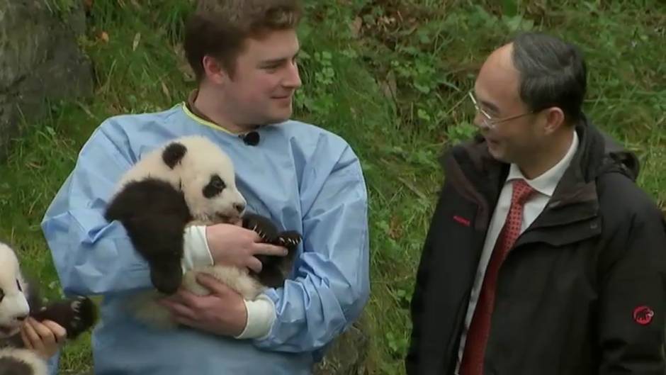 Bélgica presenta a 'Bao Mei' y 'Bao Di'