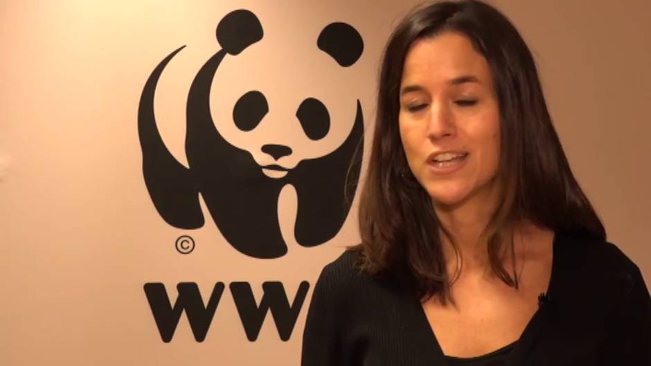 La ONU alerta de la extinción de 150 especies animales al día