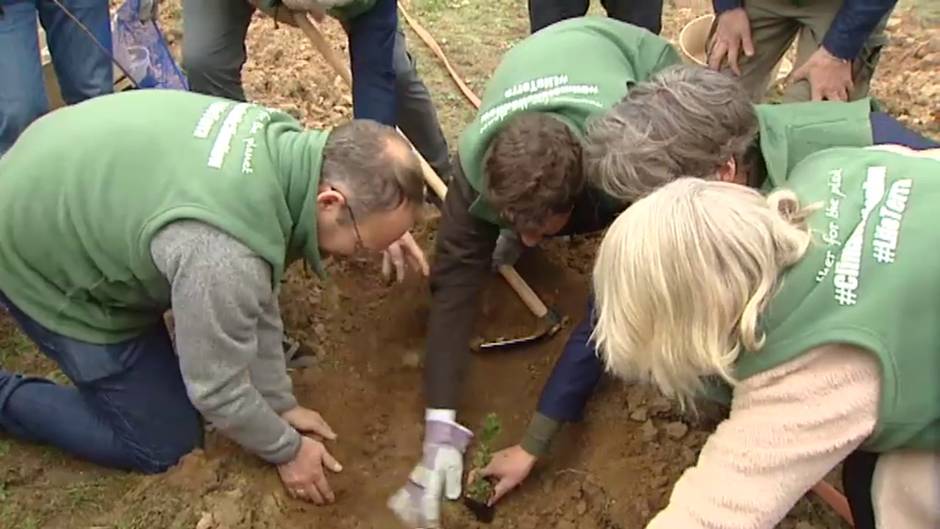 Las Rozas acoge la plantación de 1.000 árboles por la COP25