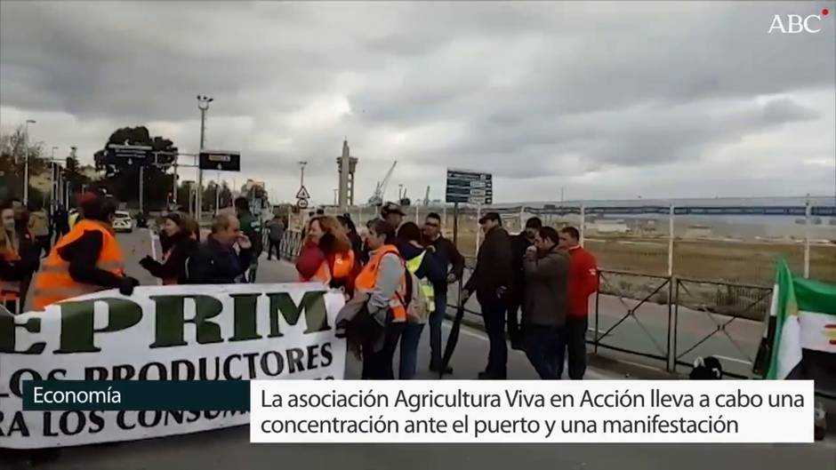 Agricultores llevan sus protestas a Algeciras para exigir que se frenen las importaciones «descontroladas»